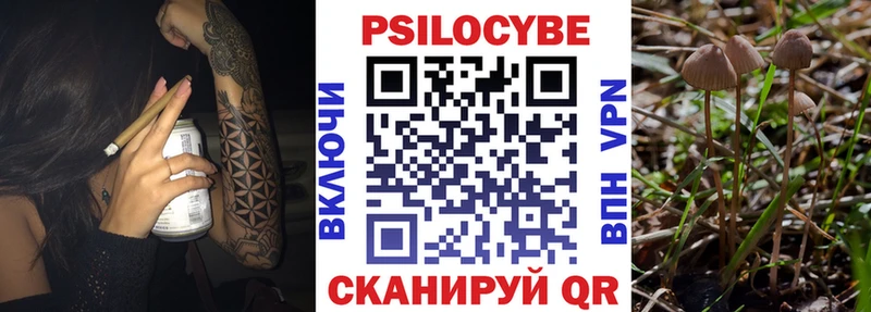 Псилоцибиновые грибы Magic Shrooms Сибай